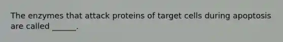 The enzymes that attack proteins of target cells during apoptosis are called ______.