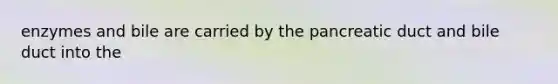 enzymes and bile are carried by the pancreatic duct and bile duct into the