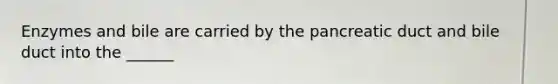 Enzymes and bile are carried by the pancreatic duct and bile duct into the ______