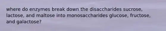 where do enzymes break down the disaccharides sucrose, lactose, and maltose into monosaccharides glucose, fructose, and galactose?