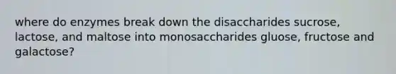 where do enzymes break down the disaccharides sucrose, lactose, and maltose into monosaccharides gluose, fructose and galactose?