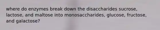 where do enzymes break down the disaccharides sucrose, lactose, and maltose into monosaccharides, glucose, fructose, and galactose?