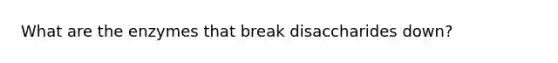 What are the enzymes that break disaccharides down?