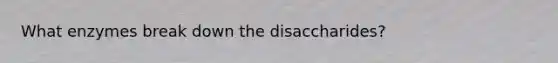 What enzymes break down the disaccharides?