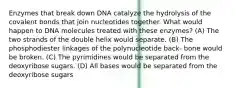 Enzymes that break down DNA catalyze the hydrolysis of the covalent bonds that join nucleotides together. What would happen to DNA molecules treated with these enzymes? (A) The two strands of the double helix would separate. (B) The phosphodiester linkages of the polynucleotide back- bone would be broken. (C) The pyrimidines would be separated from the deoxyribose sugars. (D) All bases would be separated from the deoxyribose sugars