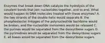 Enzymes that break down DNA catalyze the hydrolysis of the covalent bonds that join nucleotides together, end to end. What would happen to DNA molecules treated with these enzymes? A. the two strands of the double helix would separate B. the phosphodiester linkages of the polynucleotide backbone would be broken, and the nucleotide monomers would be released C. the purines would be separated from the deoxyribose sugars D. the pyrimidines would be separated from the deoxyribose sugars E. all bases would be separated from the deoxyribose sugars