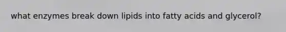 what enzymes break down lipids into fatty acids and glycerol?