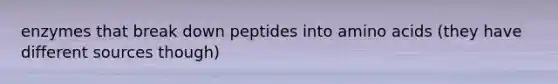 enzymes that break down peptides into <a href='https://www.questionai.com/knowledge/k9gb720LCl-amino-acids' class='anchor-knowledge'>amino acids</a> (they have different sources though)