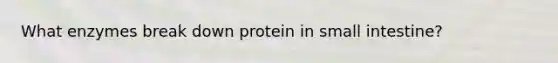 What enzymes break down protein in small intestine?