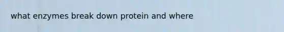 what enzymes break down protein and where