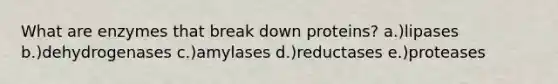 What are enzymes that break down proteins? a.)lipases b.)dehydrogenases c.)amylases d.)reductases e.)proteases