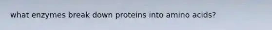 what enzymes break down proteins into amino acids?