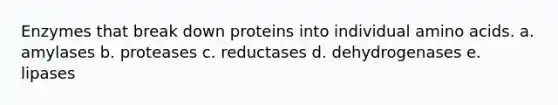 Enzymes that break down proteins into individual amino acids. a. amylases b. proteases c. reductases d. dehydrogenases e. lipases