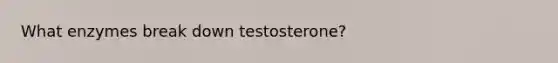 What enzymes break down testosterone?