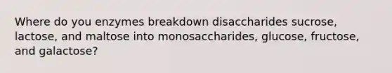 Where do you enzymes breakdown disaccharides sucrose, lactose, and maltose into monosaccharides, glucose, fructose, and galactose?