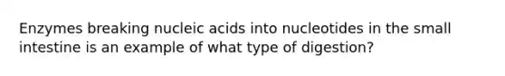 Enzymes breaking nucleic acids into nucleotides in the small intestine is an example of what type of digestion?