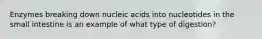 Enzymes breaking down nucleic acids into nucleotides in the small intestine is an example of what type of digestion?