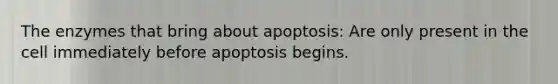 The enzymes that bring about apoptosis: Are only present in the cell immediately before apoptosis begins.