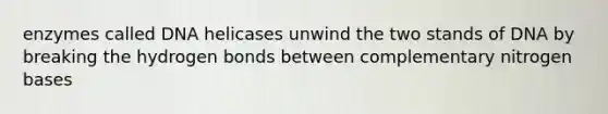 enzymes called DNA helicases unwind the two stands of DNA by breaking the hydrogen bonds between complementary nitrogen bases