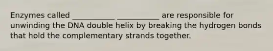 Enzymes called ___________ ___________ are responsible for unwinding the DNA double helix by breaking the hydrogen bonds that hold the complementary strands together.