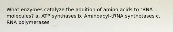 What enzymes catalyze the addition of <a href='https://www.questionai.com/knowledge/k9gb720LCl-amino-acids' class='anchor-knowledge'>amino acids</a> to tRNA molecules? a. ATP synthases b. Aminoacyl-tRNA synthetases c. RNA polymerases