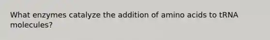 What enzymes catalyze the addition of amino acids to tRNA molecules?