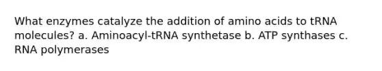 What enzymes catalyze the addition of <a href='https://www.questionai.com/knowledge/k9gb720LCl-amino-acids' class='anchor-knowledge'>amino acids</a> to tRNA molecules? a. Aminoacyl-tRNA synthetase b. ATP synthases c. RNA polymerases