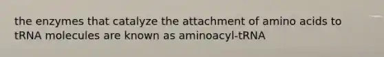 the enzymes that catalyze the attachment of amino acids to tRNA molecules are known as aminoacyl-tRNA