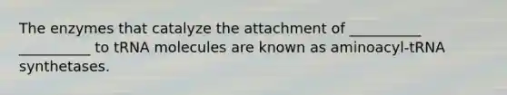 The enzymes that catalyze the attachment of __________ __________ to tRNA molecules are known as aminoacyl-tRNA synthetases.