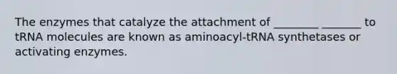 The enzymes that catalyze the attachment of ________ _______ to tRNA molecules are known as aminoacyl-tRNA synthetases or activating enzymes.