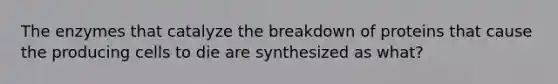 The enzymes that catalyze the breakdown of proteins that cause the producing cells to die are synthesized as what?