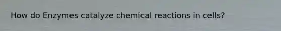 How do Enzymes catalyze chemical reactions in cells?