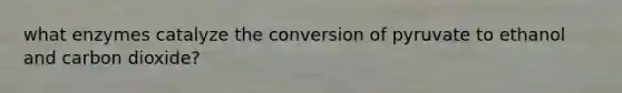 what enzymes catalyze the conversion of pyruvate to ethanol and carbon dioxide?
