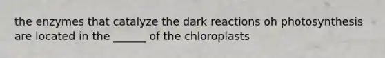 the enzymes that catalyze the dark reactions oh photosynthesis are located in the ______ of the chloroplasts