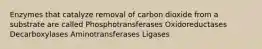 Enzymes that catalyze removal of carbon dioxide from a substrate are called Phosphotransferases Oxidoreductases Decarboxylases Aminotransferases Ligases