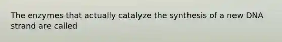 The enzymes that actually catalyze the synthesis of a new DNA strand are called