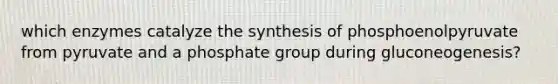 which enzymes catalyze the synthesis of phosphoenolpyruvate from pyruvate and a phosphate group during gluconeogenesis?