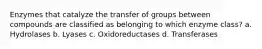 Enzymes that catalyze the transfer of groups between compounds are classified as belonging to which enzyme class? a. Hydrolases b. Lyases c. Oxidoreductases d. Transferases