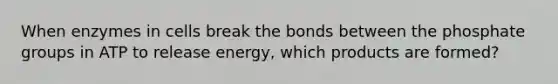 When enzymes in cells break the bonds between the phosphate groups in ATP to release energy, which products are formed?