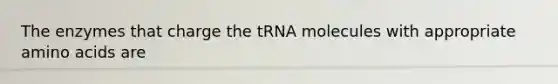 The enzymes that charge the tRNA molecules with appropriate amino acids are