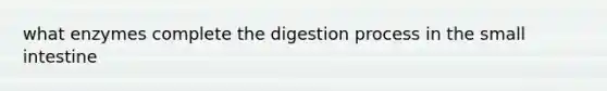 what enzymes complete the digestion process in the small intestine