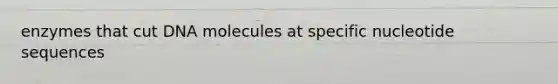 enzymes that cut DNA molecules at specific nucleotide sequences