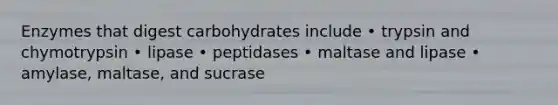 Enzymes that digest carbohydrates include • trypsin and chymotrypsin • lipase • peptidases • maltase and lipase • amylase, maltase, and sucrase