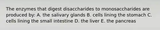 The enzymes that digest disaccharides to monosaccharides are produced by: A. the salivary glands B. cells lining the stomach C. cells lining the small intestine D. the liver E. the pancreas