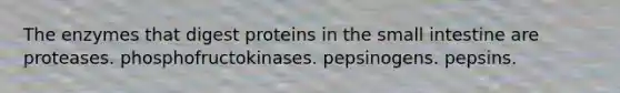 The enzymes that digest proteins in the small intestine are proteases. phosphofructokinases. pepsinogens. pepsins.