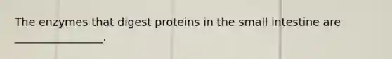 The enzymes that digest proteins in the small intestine are ________________.