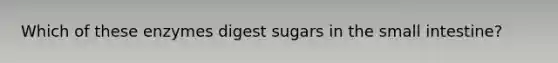 Which of these enzymes digest sugars in the small intestine?