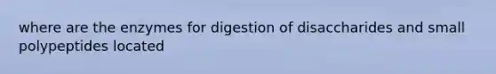 where are the enzymes for digestion of disaccharides and small polypeptides located