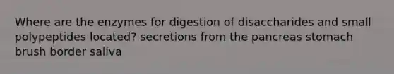 Where are the enzymes for digestion of disaccharides and small polypeptides located? secretions from the pancreas stomach brush border saliva