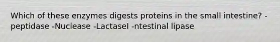 Which of these enzymes digests proteins in <a href='https://www.questionai.com/knowledge/kt623fh5xn-the-small-intestine' class='anchor-knowledge'>the small intestine</a>? -peptidase -Nuclease -LactaseI -ntestinal lipase